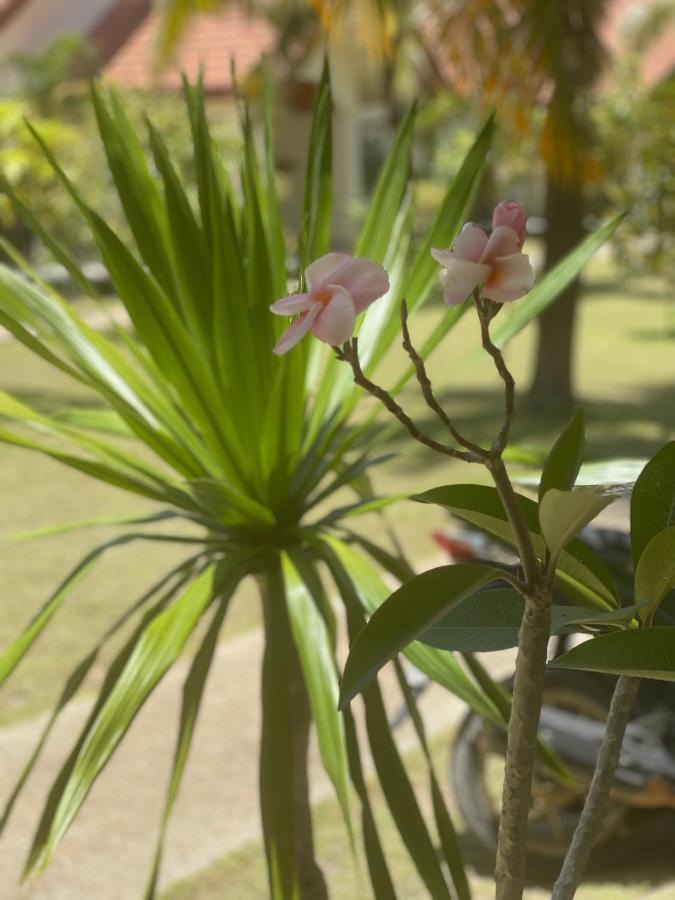 Paradis Villa A9, Koh Kho Khao Koh Kho Khao Island 外观 照片